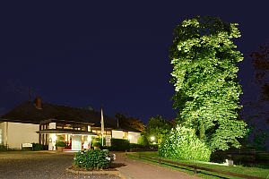 Restaurant Terrasse